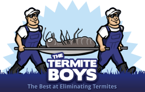 termite-boys-logo-2