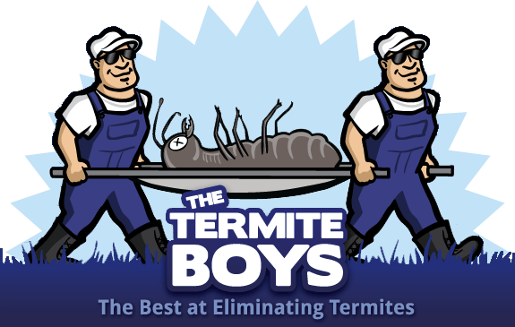 Termite Boys