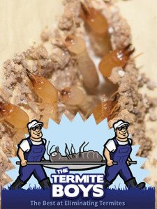 termiteboys