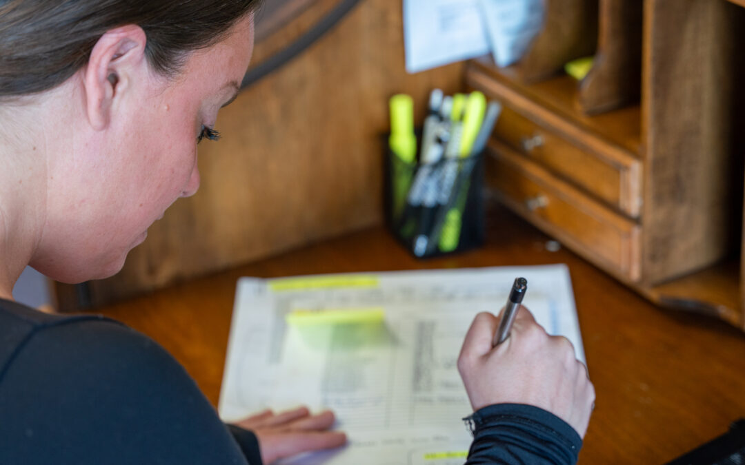 How to Keep Termites Away from Your Boston Home
