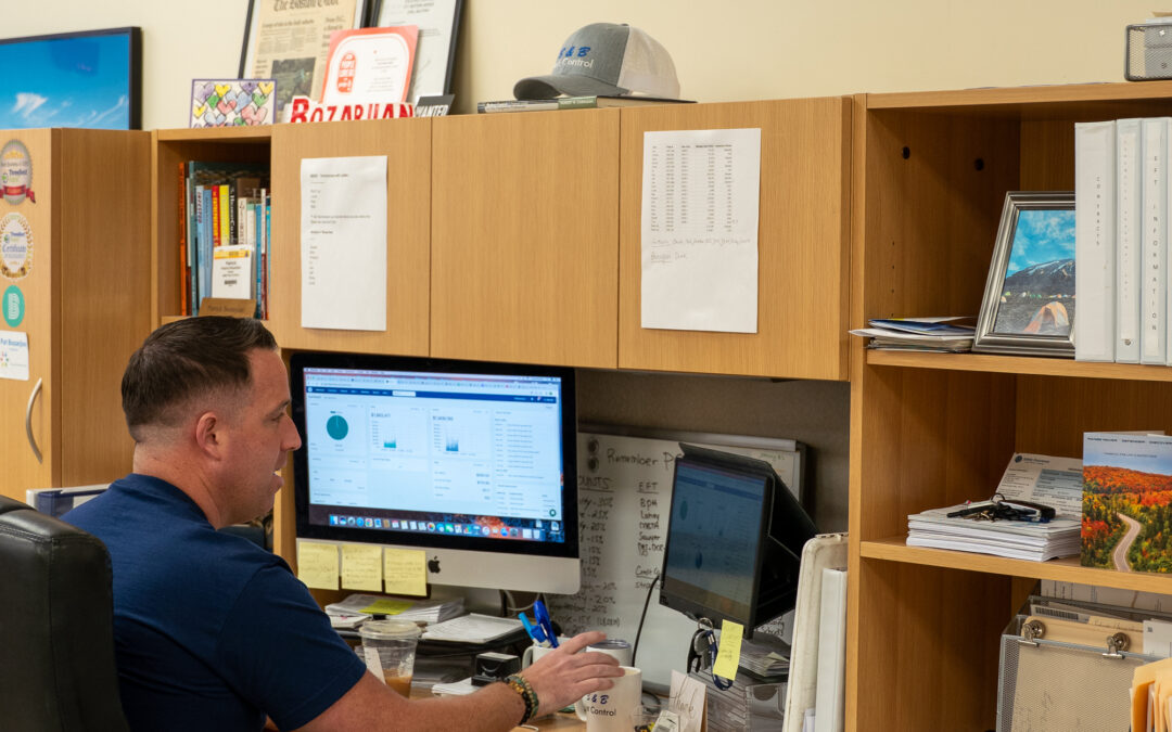 Termite Species to Watch for in Massachusetts